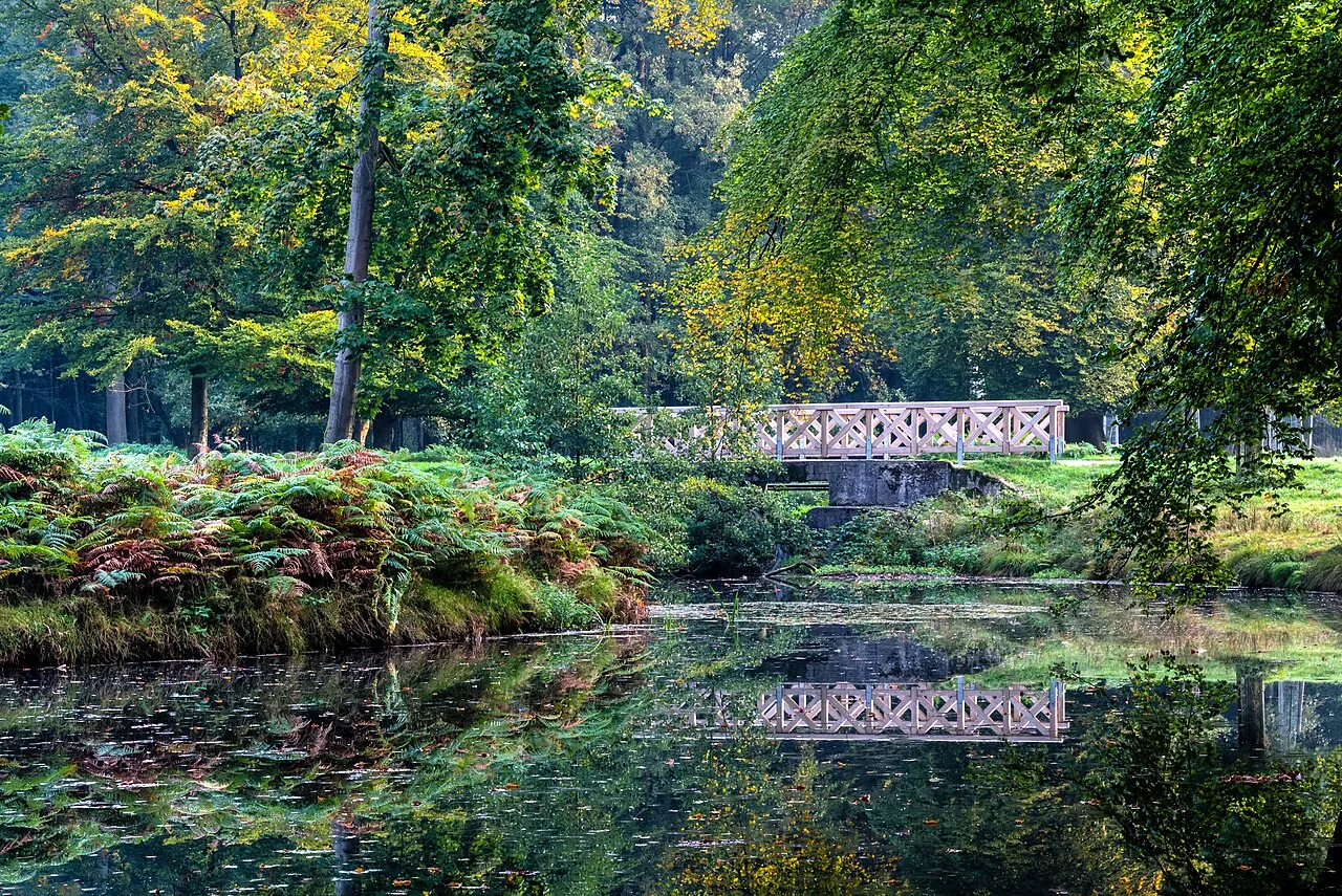 Symbolfoto: Dülmen, Wildpark -- 2015 -- 8894-8