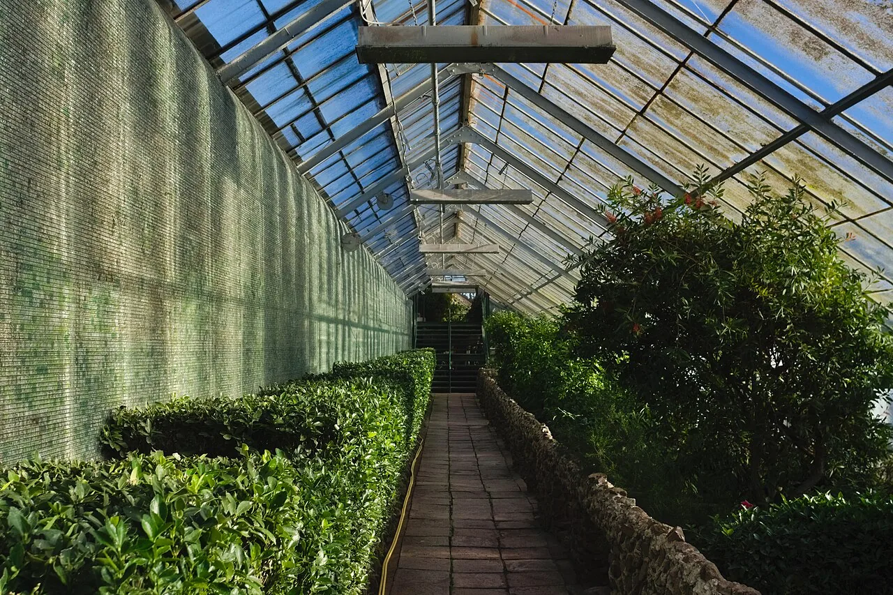 Botanical conservatory interior and planting